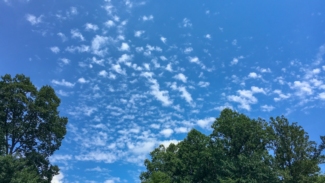 Cirrocumulus on a nice day (© whatsthiscloud.com)