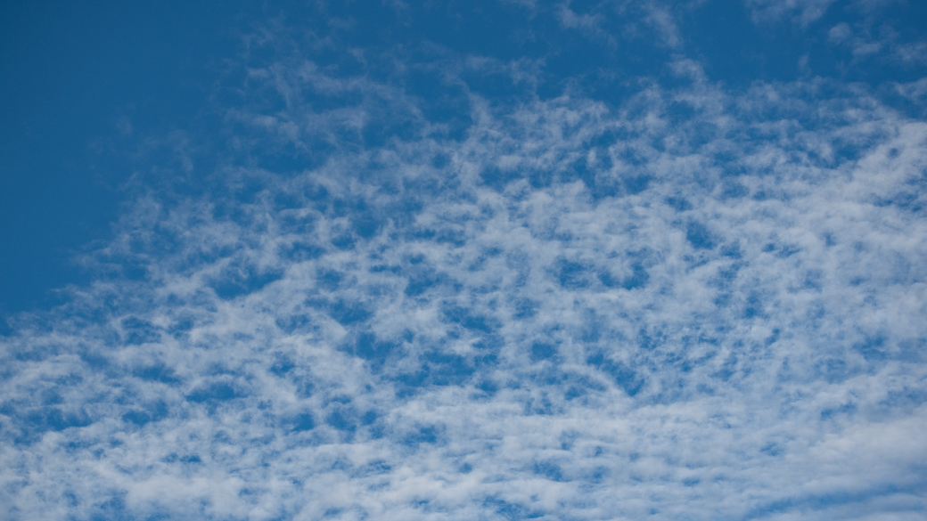 A photograph of altocumulus lacunosus clouds (Ac la) in the sky