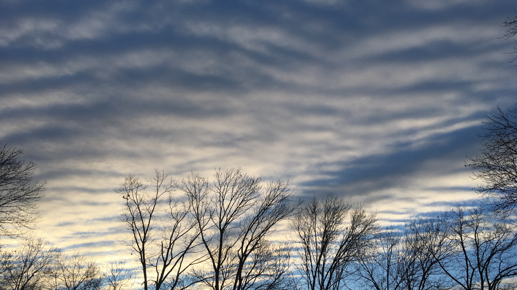 A photograph of altocumulus stratiformis undulatus clouds (Ac str un) on a winter morning