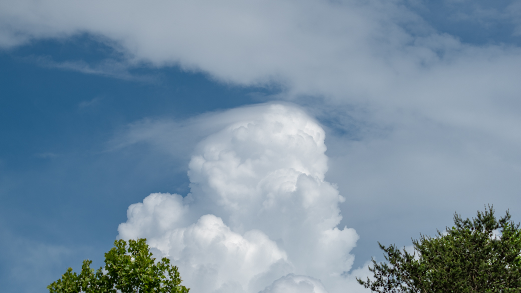 A photograph of a cumulus congestus pileus cloud (Cu con pil) over some trees