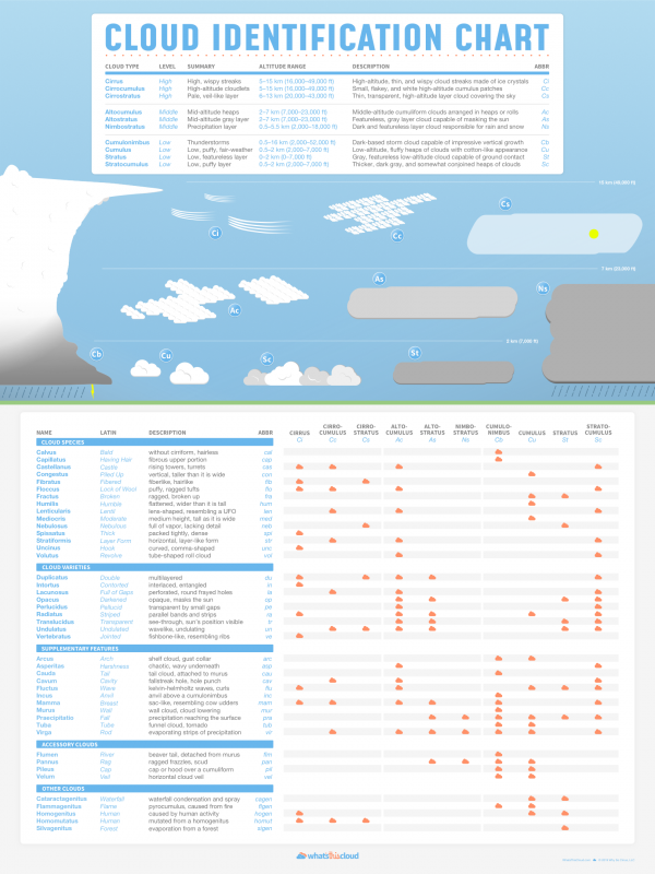 Cloud identification poster